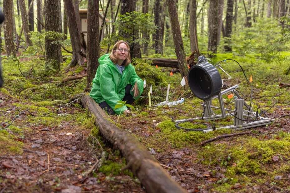 kathleen savage takes carbon measurements in howland forest