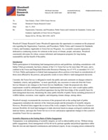first page of the comments