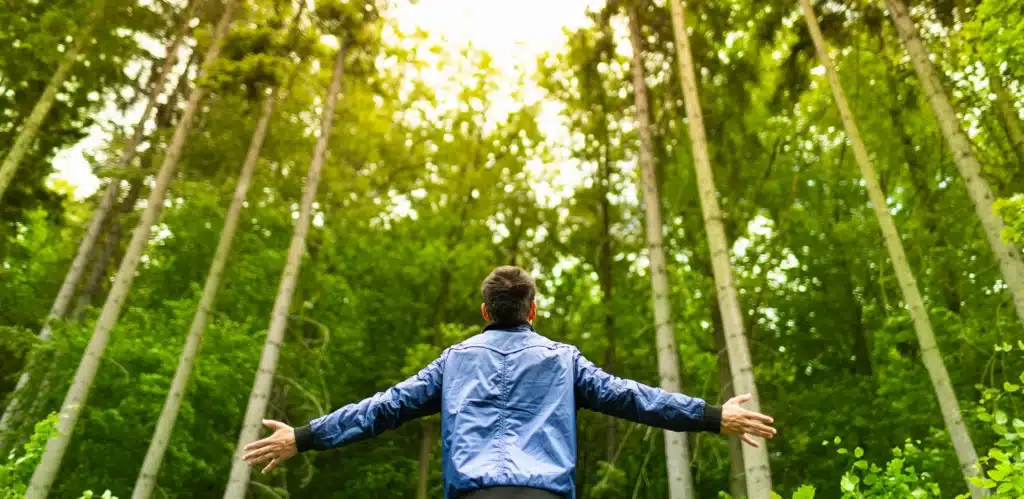 A back view of a man looking up into trees in a forest