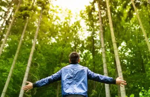 A back view of a man looking up into trees in a forest