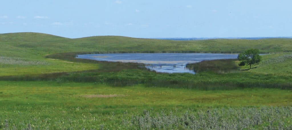 North Dakota prairie wetlands.
