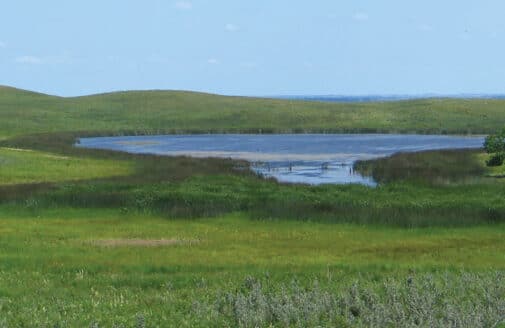 North Dakota prairie wetlands.