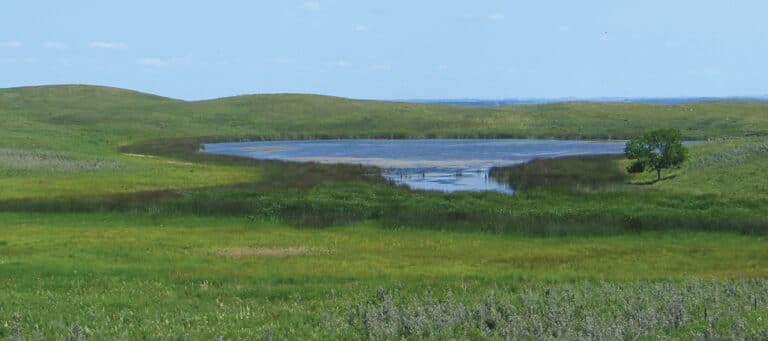 North Dakota prairie wetlands.
